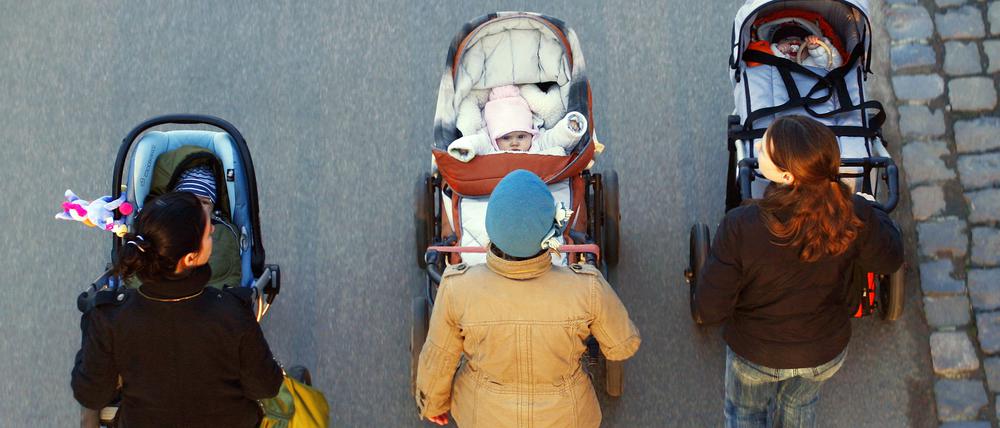 Junge Frauen schieben Babys im Kinderwagen bei einem Spaziergang. (Symbolbild)