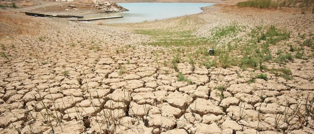 Von der Trockenheit zerklüftete und aufgerissene Erde an den Ufern des Viñuela-Stausees in Spanien. 