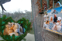 Am Montag wäre Knut fünf Jahre alt geworden. Viele Fans nutzen den Jahrestag, um ihre Trauer um den berühmten Eisbären und seinen ebenfalls verstorbenen Pfleger zu zeigen.