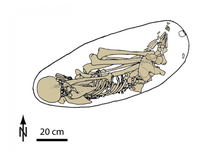 Die Position des Kostenki-14-Skeletts, aus dessen Schienbein Erbgut für eine Abstammungsanalyse entnommen wurde, in seinem Grab.