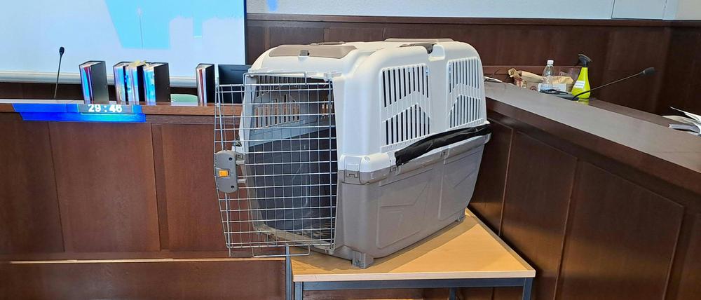 Die Hundebox steht während des Prozess im Verhandlungssaal vom Landesgericht Krems.