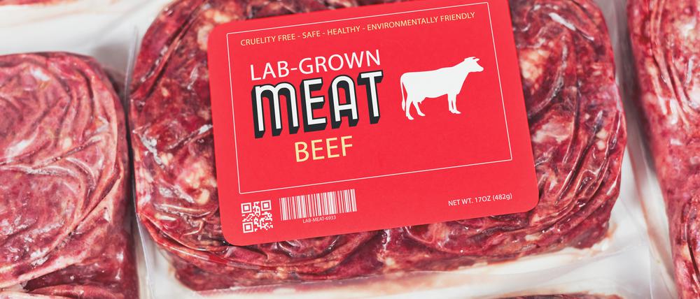 Fleisch aus dem Labor wäre eine Möglichkeit, sich zukünftig nachhaltiger zu ernähren. Doch wie ist die Akzeptanz und wer kann sich das leisten?