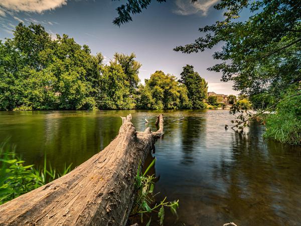 Sommer im Paradies: Jena ist so viel mehr als nur Plattenbauten
