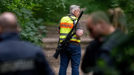 Löwenjagd in Kleinmachnow: Der Gemeindejäger samt Polizei durchsuchen den Wald.