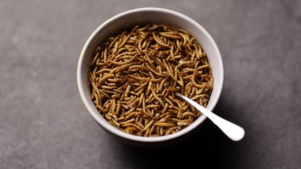 Mal was anderes: getrocknete Mehlwürmer statt Müsli. Laut Experten durchaus zu empfehlen.