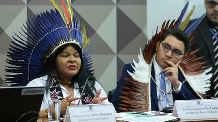 Indigenen-Ministerin Sônia Guajajara