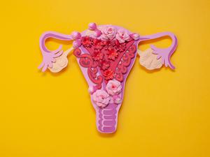 Gegen das klassische Narrativ. Die Menstruation ist nicht allgemein eine Krankheit, die Frauen schwächt.  