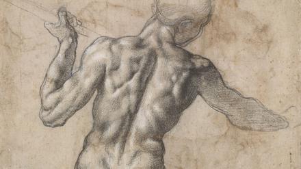 Michelangelo Buonarroti
 Männlicher Rückenakt, um 1504