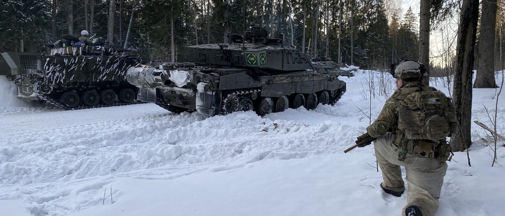 Estnische Truppen üben an der Grenze zu Russland.