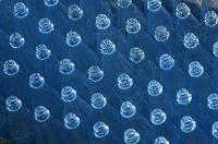 Leere PET-Mehrwegflaschen für Mineralwasser stehen auf einem Transportband einer Abfüllanlage.
