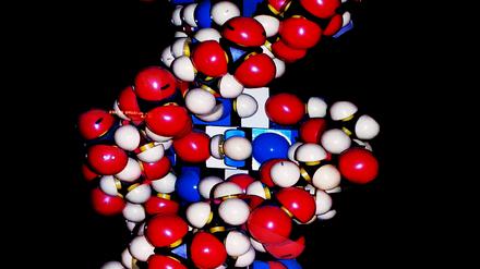 Als Doppelhelix kann DNA Informationen speichern und als Vorbild für ziemlich identische Kopien dienen.