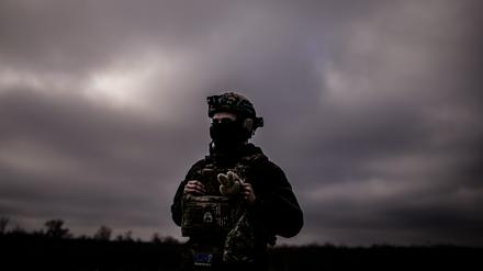 Ein ukrainischer Soldat steht am 30. Januar 2024 in der Oblast Donezk vor einem wolkenverhangenen Himmel.
