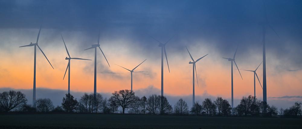 Windenergie an Land erzielte einen neues Jahresrekord mit 113,5 Milliarden Kilowattstunden Strom.