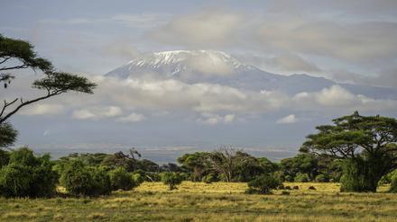 Der Berg Kilimandscharo