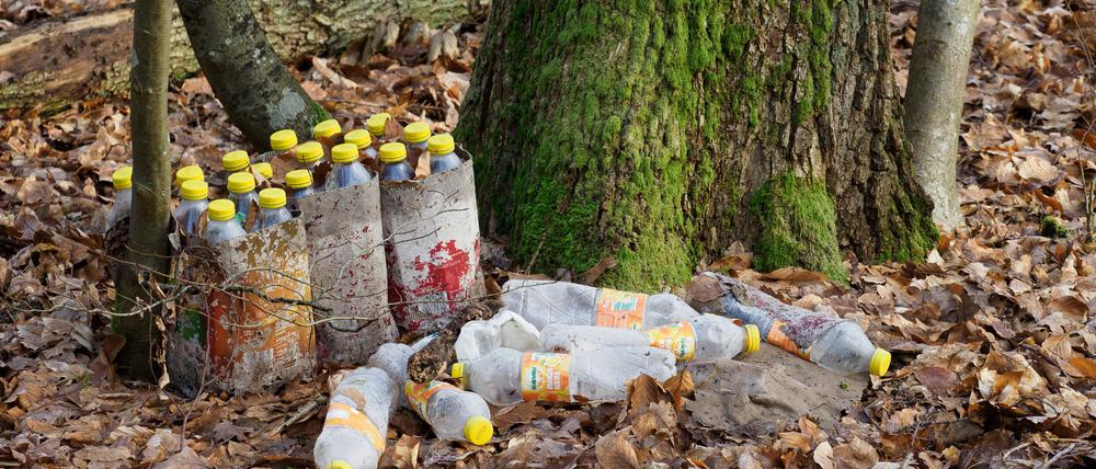  Leere Plastikflaschen liegen im brandenburgischen Landkreis Ostprignitz-Ruppin neben einem Baum.