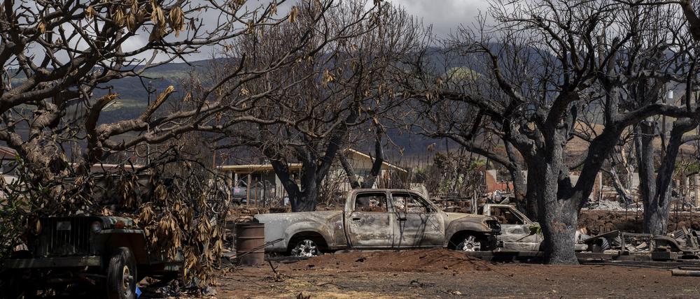 Verkohlte Bäume und ausgebrannte Autos in der Malo Street in Lahaina auf Maui. 