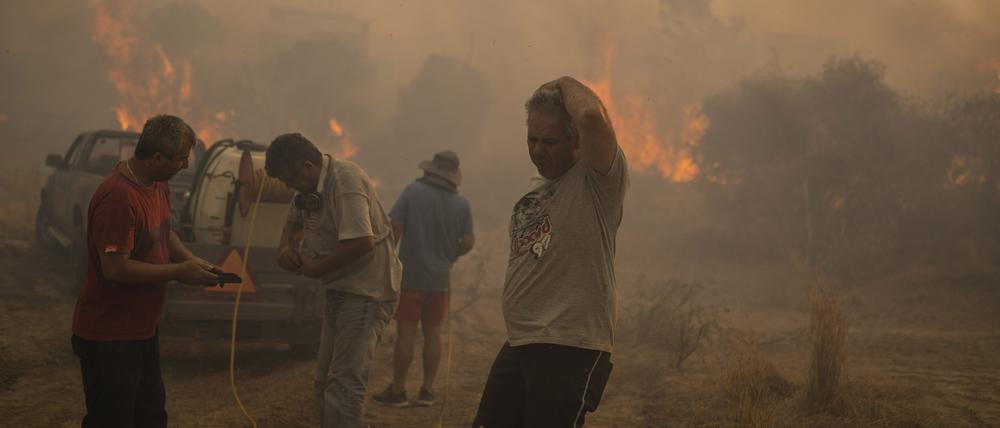 Einheimische auf Rhodos versuchen einen Waldbrand zu löschen. 