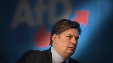 Maximilian Krah, Spitzenkandidat der AfD zur Europawahl