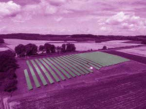 Bäuerinnen und Bauern haben mit zunehmender Dürre zu kämpfen, nicht nur in Brandenburg. Sie passen sich an den Klimawandel unter anderen mit Agri-Photovoltaik-Anlagen an, unter denen Tiere und Pflanzen Schutz finden.