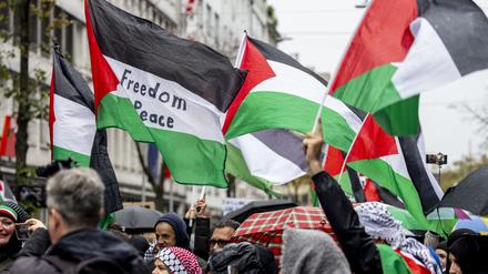 Eine pro-palästinensische Demonstration in Düsseldorf.