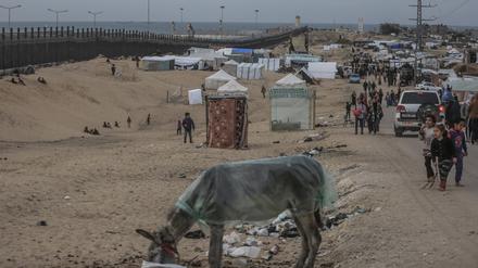 Vertriebene Palästinenser aus dem nördlichen Gazastreifen schlugen ihre Zelte in der Nähe der Mauer auf, die Ägypten und den Gazastreifen trennt. 
