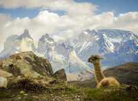 Ein Forscher hatte im Nationalpark Torres del Paine in Patagonien ein Magnetometer reparieren wollen - nun wird er vermisst.