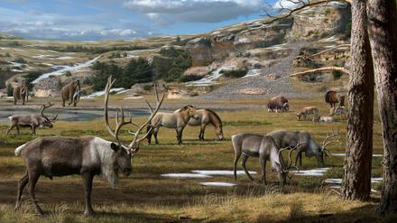 Pleistozän-Landschaft im Permafrost mit Mammut, Pferd, Rentier, Bison und Moschustier (undatierte Darstellung). 