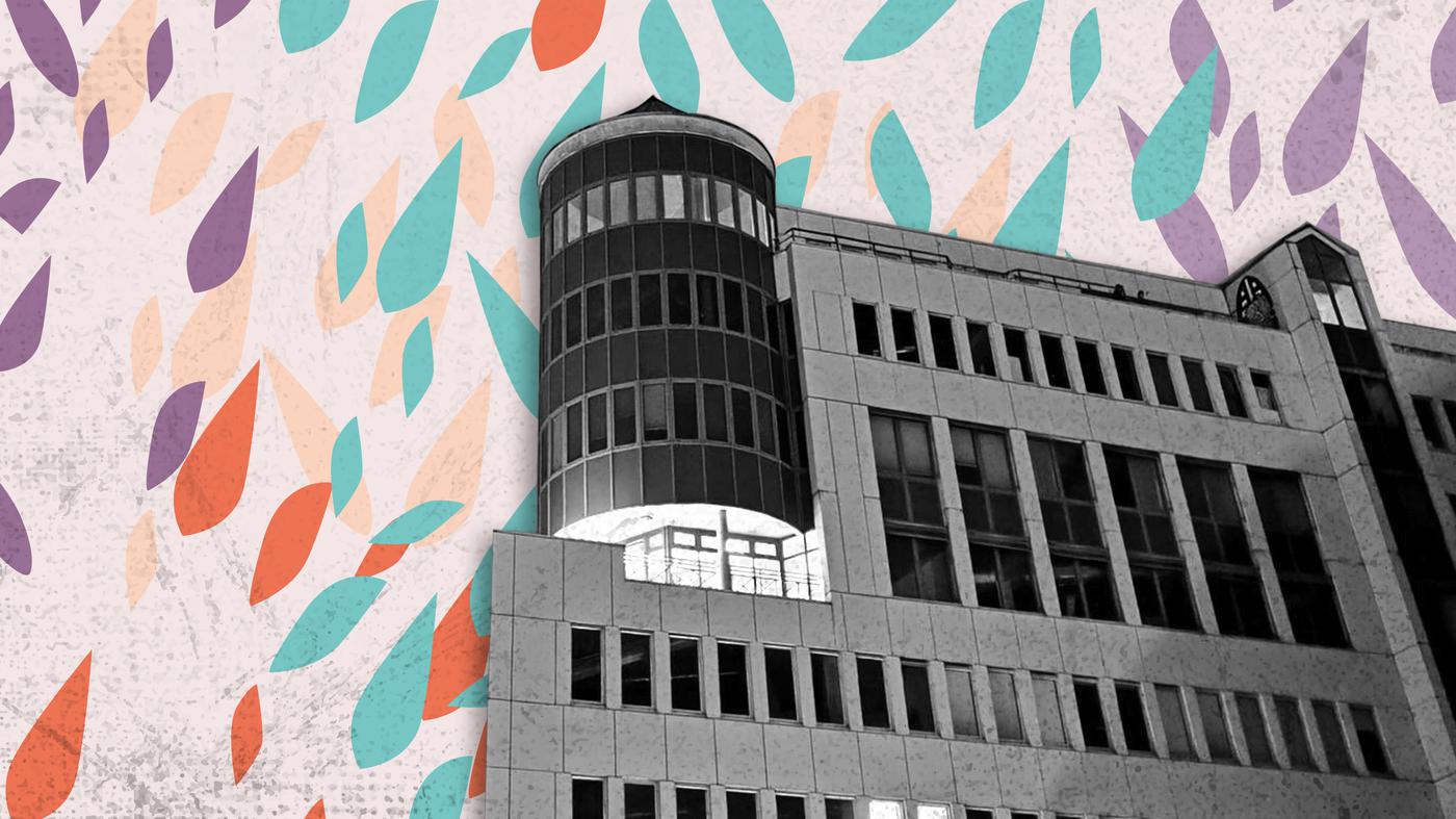 Action im Turmzimmer Das Berliner Greenhouse hat neue Bewohner