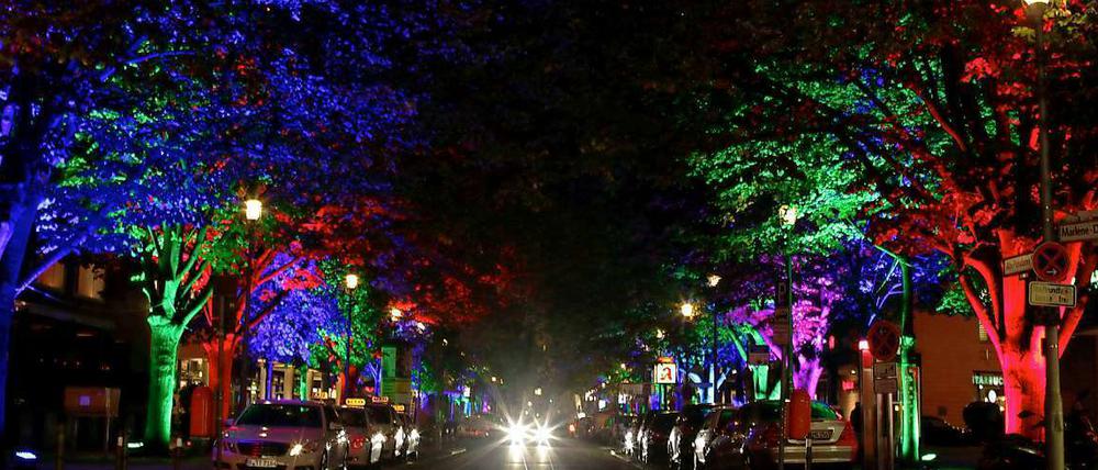 Bunt angestrahlte Bäume in Tiergarten beim Festival of Lights.