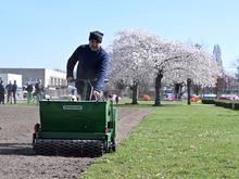 Grünflächenpflege in Potsdam: Stadt erhält 2,5 Millionen Euro für Bewässerung
