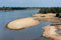 Weil der Rhein weniger Wasser als üblich führt, bilden sich bei Emmerich große Sandbänke.