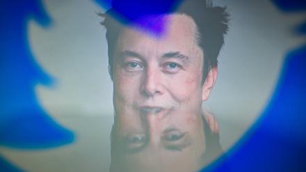 Tech-Milliardär Elon Musk hat Twitter gekauft (Symbolbild). 