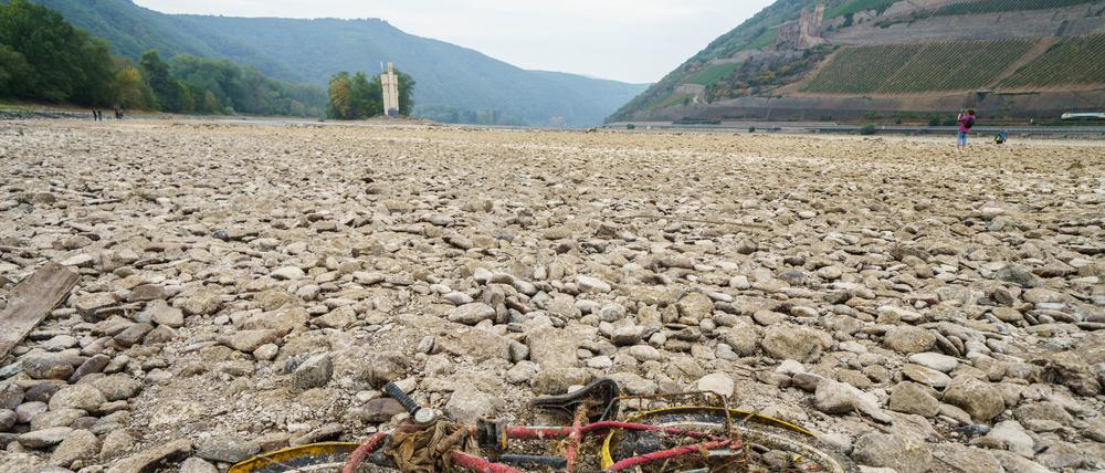 Ein mit vertrockneten Muscheln und Algen bedecktes Kinderfahrrad liegt im August 2022 auf dem Gestein des weitgehend ausgetrockneten Flussbetts des Rheins. 