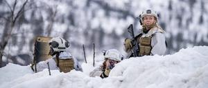 Nato-Soldaten versammeln sich in der Arktis. 