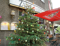 Osterweihnachtsbaum vor dem "Zwiebelfisch" am Savignyplatz.