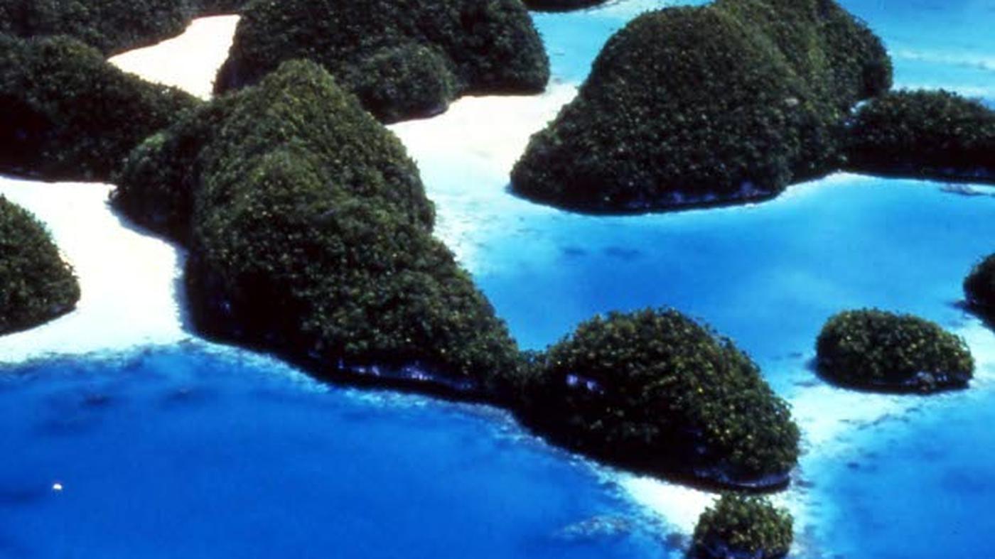 Inselrepublik Wissenswertes über Palau