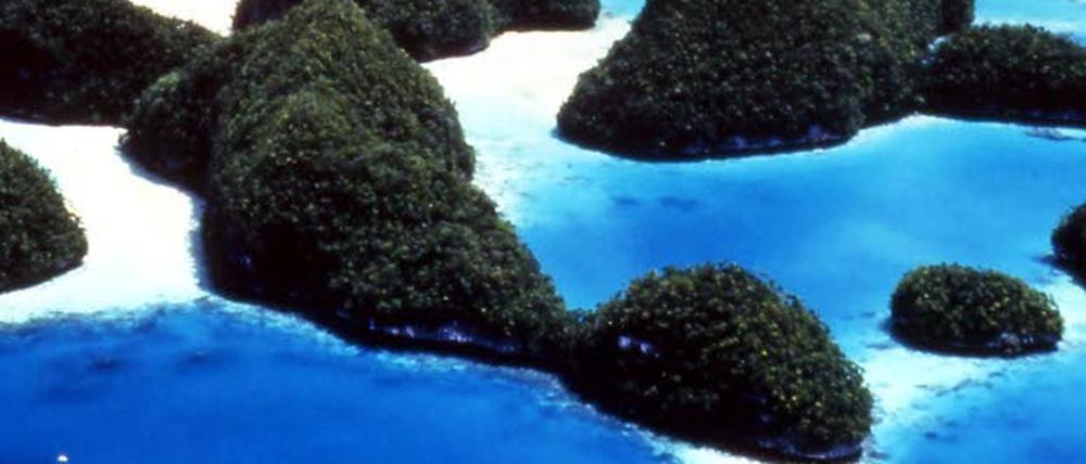 Inselrepublik Wissenswertes über Palau
