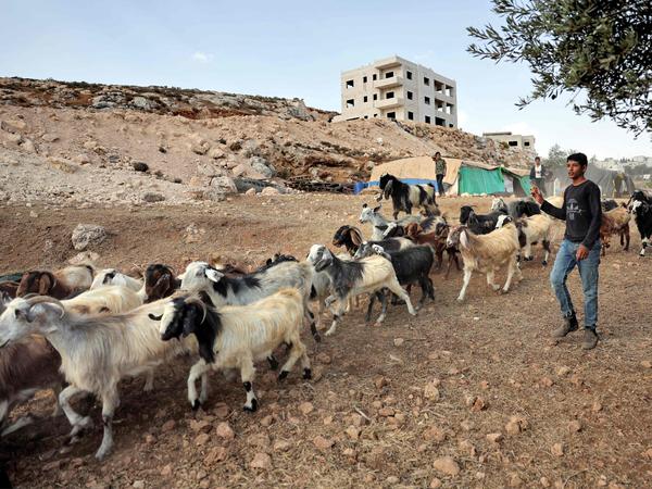 Beduinen werden von israelischen Siedlern verstärkt angegriffen und in die Enklaven in den besetzten Gebieten, die unter palästinensischer Zivilverwaltung stehen, vertrieben.  