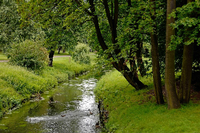 Blick auf den Fluss Panke im Bürgerpark im Bezirk Pankow.