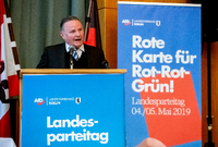 AfD-Landeschef Georg Pazderski und seine Stellvertreterin Beatrix von Storch müssen ein neues Landesschiedsgericht wählen lassen.