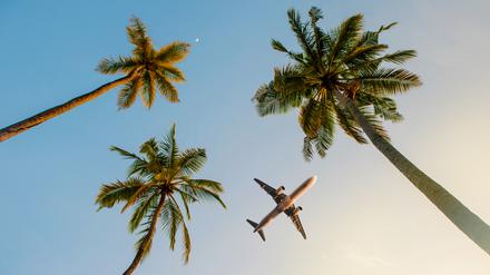 Was tun, wenn man den idealen Zeitpunkt zur Urlaubsplanung verpasst hat, aber doch noch gerne einen Ferienflieger in die Sonne erwischen möchte?