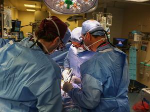 Ärzte arbeiten in einem OP-Raum bei der Transplantation einer Schweineniere im Massachusetts General Hospital. 