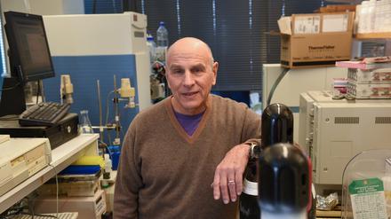Dennis Kasper hat erforscht, welche Signale Darmbakterien nutzen, um mit dem Immunsystem zu kommunizieren.