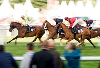 Tempo, Tempo: Beim Deutschen Galopp-Derby werden die schnellsten Pferde ihres Jahrgangs gesucht.