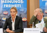 Die Spitzenkandidaten Alice Weidel und Alexander Gauland dürften ihren Arbeitsplatz für die nächsten vier Jahre wohl sicher haben: im Bundestag.