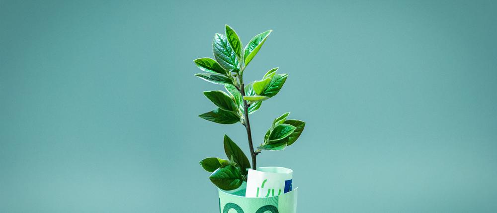 Grün ist die Hoffnung: Echt nachhaltige Geldanlagen sind (noch) selten.