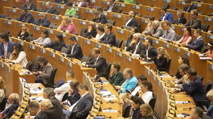 Plenarsitzung im Europäischen Parlament in Brüssel: Geißeln des „grünen Verbotswahnsinns“.