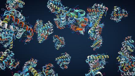 Proteine falten sich je nach Abfolge ihrer Aminosäuren.
