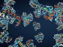 Schöpfung im Computer: KI kann jetzt auch Proteine entwerfen