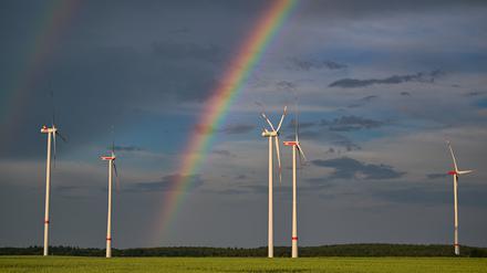Ein Windpark bei Sieversdorf 